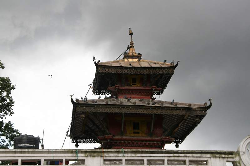 India & Nepal 2011 - 0113